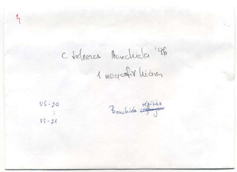 Original Digitális objektum not accessible